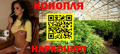 ешки Новокубанск