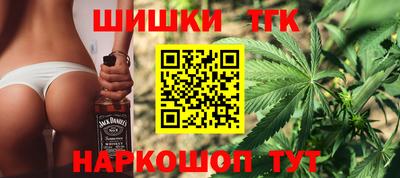 Альфа ПВП Новодвинск