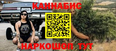 Альфа ПВП Новодвинск