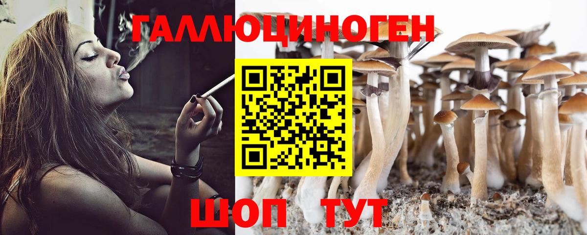 Алатырь  Псилоцибиновые грибы Psilocybine cubensis  Вход с VPN 